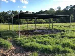 green grass with a shaded structure 